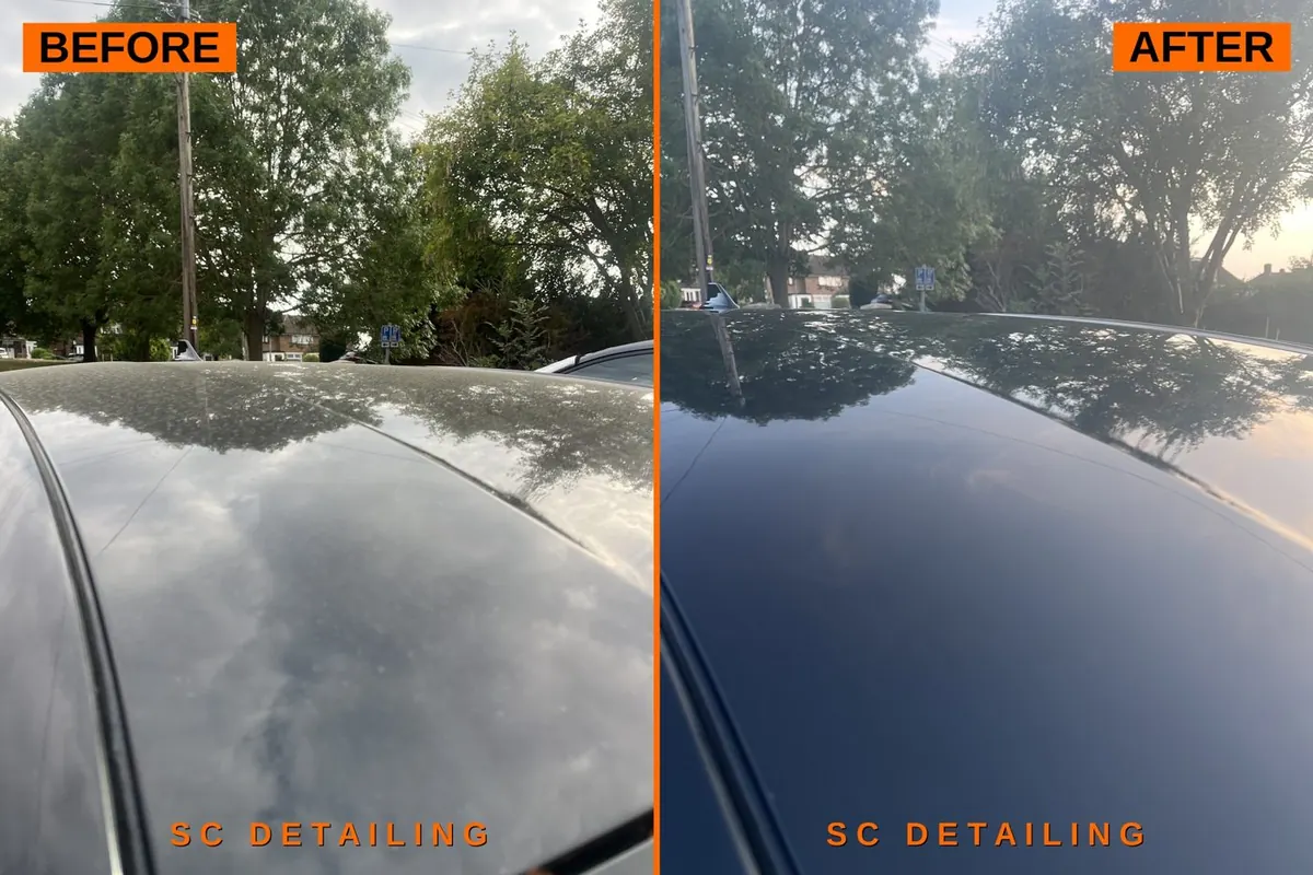 Ford Focus roof — water spots removed, before and after
